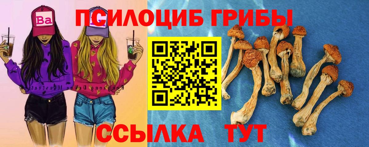 Псилоцибиновые грибы прущие грибы Сосновый Бор